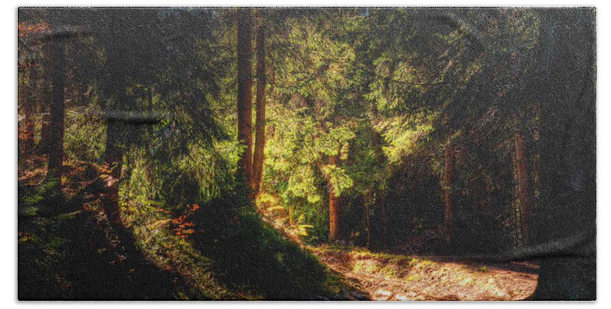 Forest Beach Towel featuring the photograph Forest by Jackie Russo