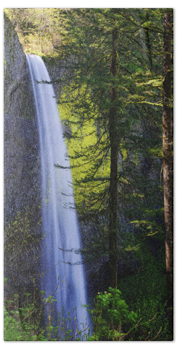 Forest Mist Beach Sheet featuring the photograph Forest Mist by Chad Dutson
