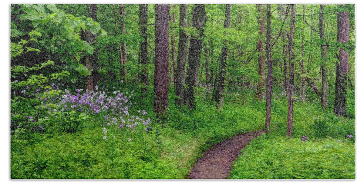 Forrest Beach Towel featuring the photograph Forest Path by Ann Bridges