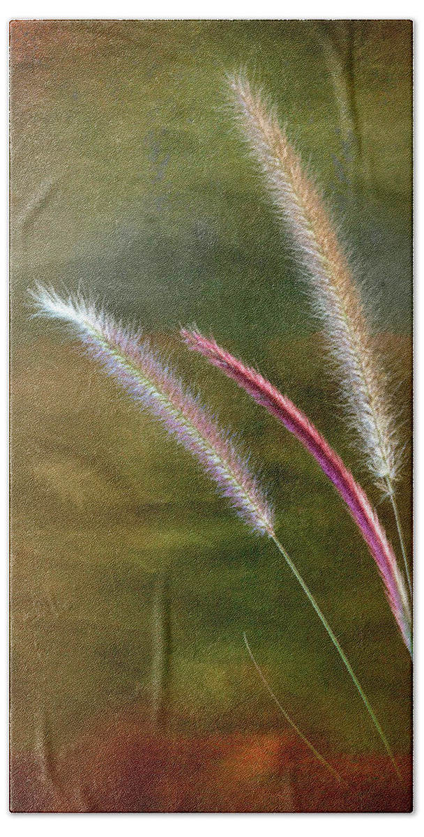 Flower Beach Towel featuring the photograph Fountain Grass by Endre Balogh