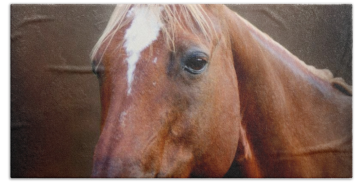Horse Beach Sheet featuring the photograph Fox - Quarter Horse by Sandy Keeton