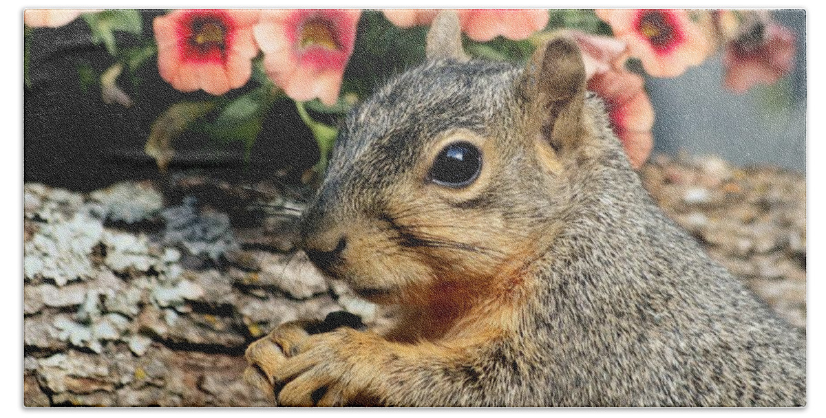 Nature Beach Towel featuring the photograph Fox Squirrel Portrait by Sheila Brown