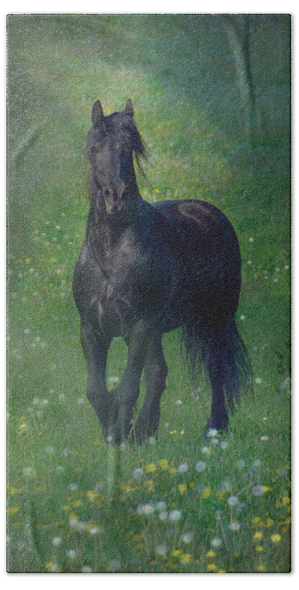 Horses Canvas Prints Beach Sheet featuring the photograph Friesian Mist by Fran J Scott