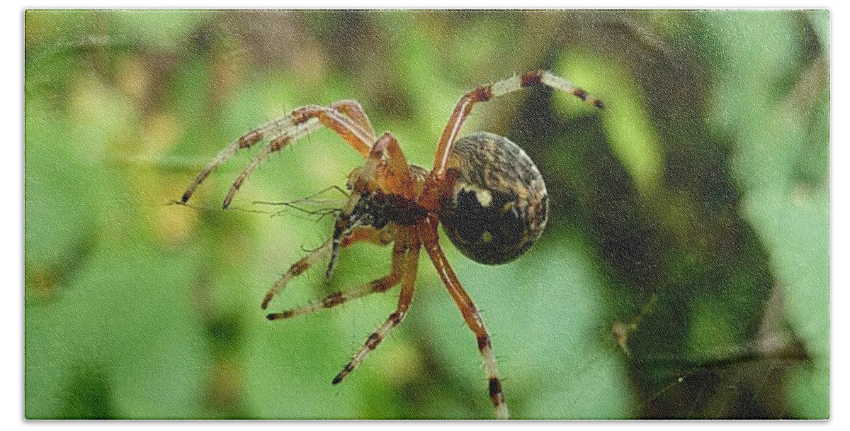 Spider Beach Sheet featuring the photograph From Under by 'REA' Gallery
