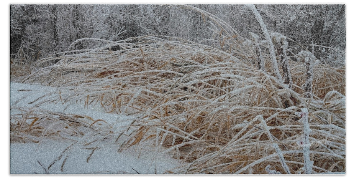 Frost Laden Grasses Beach Towel featuring the photograph Frost Laden Grasses by Sandra Foster