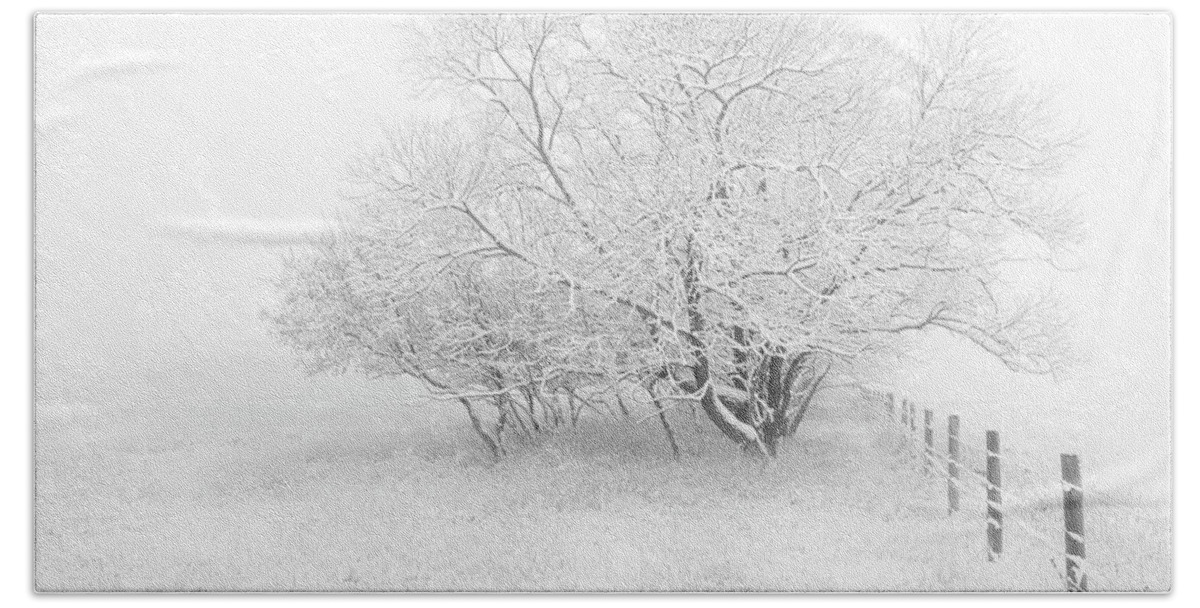 Frost Beach Sheet featuring the photograph Frosted by Dan Jurak