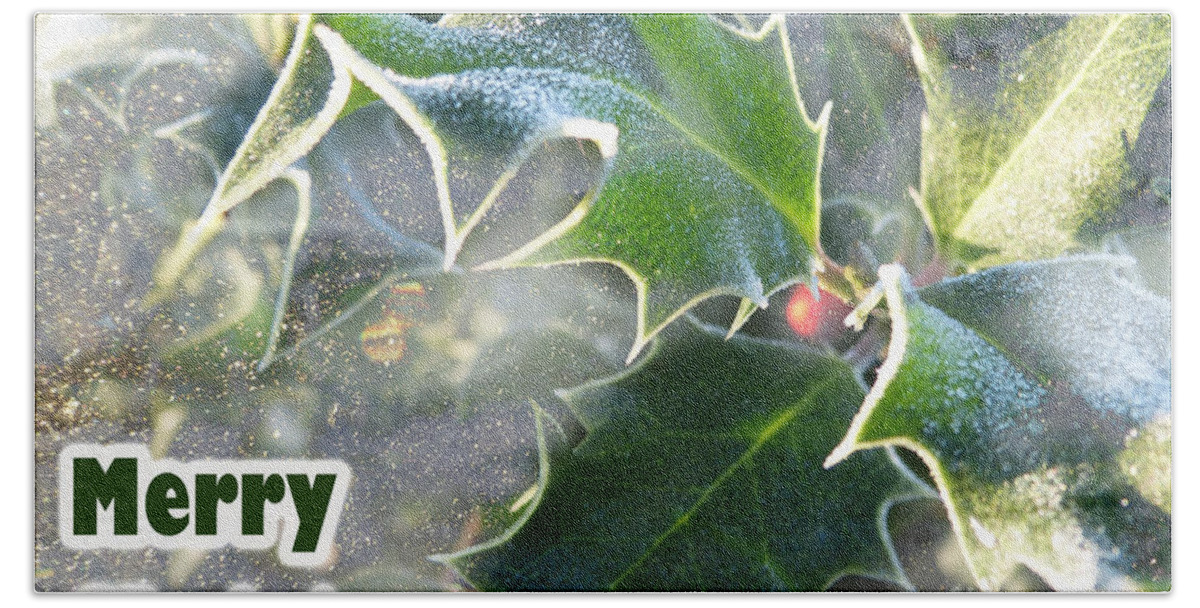 Christmas Card Beach Sheet featuring the photograph Frosty Holly by LemonArt Photography