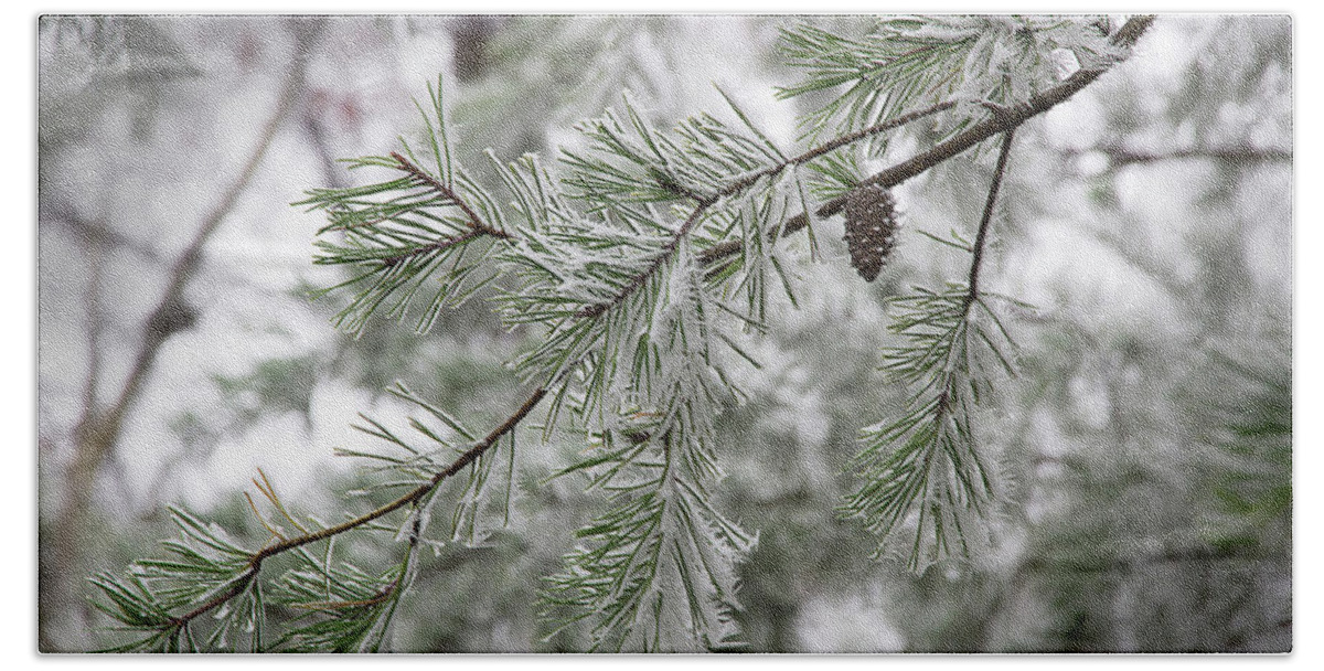 Frost Beach Towel featuring the photograph Frosty Pinecone by Mike Eingle