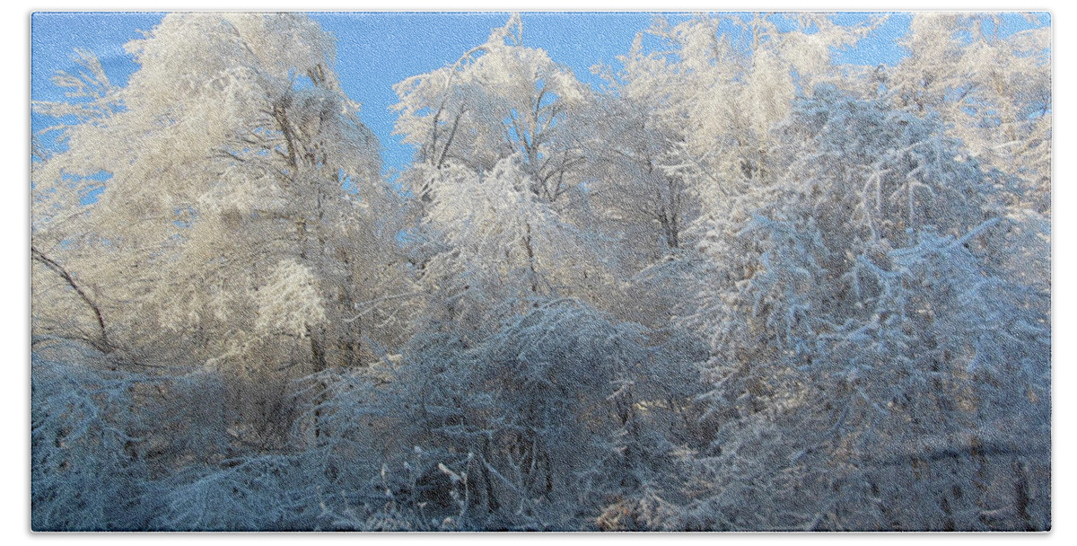 Frosty Beach Towel featuring the photograph Frosty Trees by Rockin Docks Deluxephotos