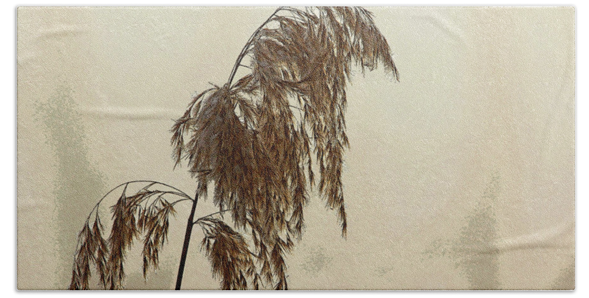 Grass Beach Towel featuring the photograph Frosty Wild Grass by Debbie Oppermann