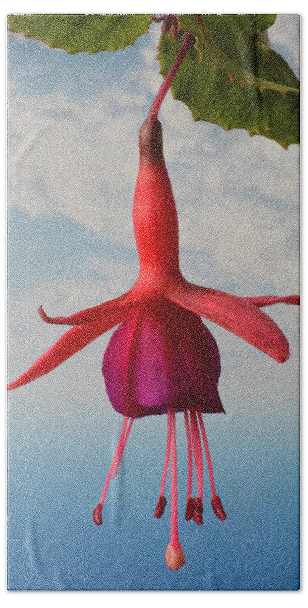 Fuchsias Beach Sheet featuring the photograph Fuchsia In The Sky. by Terence Davis
