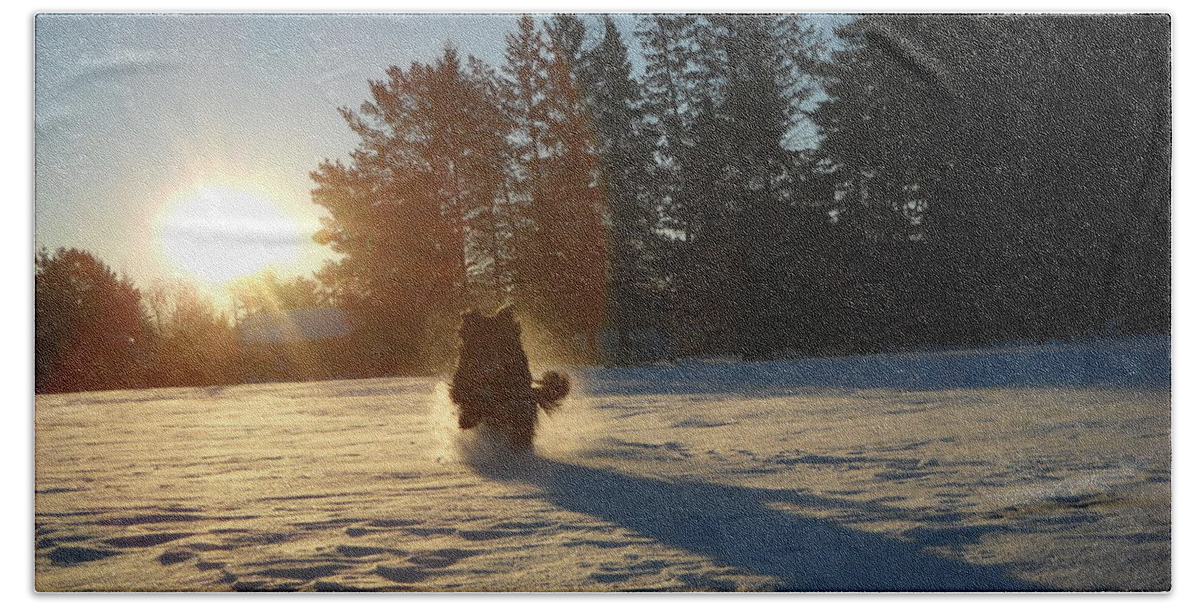 Snow Beach Towel featuring the photograph Fun to Run in Snow at Sunrise by Kent Lorentzen
