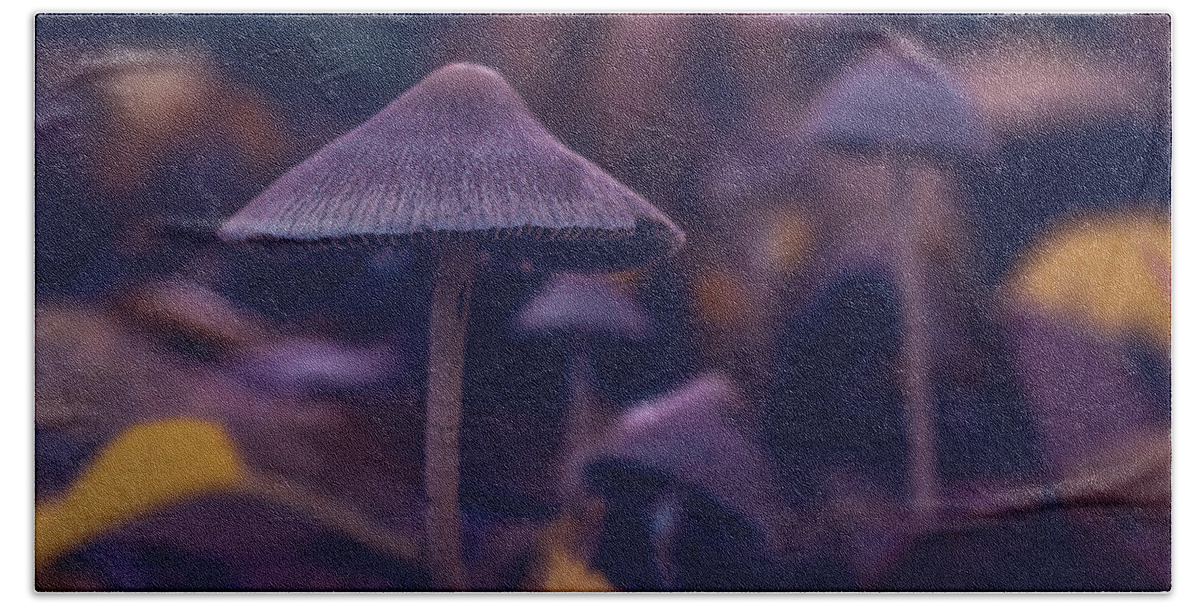 Fungi Beach Sheet featuring the photograph Fungi World by Gene Garnace