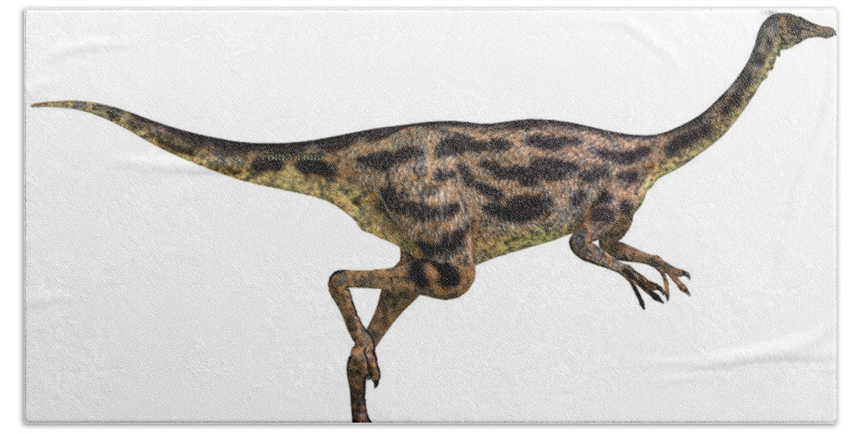 Gallimimus Beach Towel featuring the painting Gallimimus Profile by Corey Ford