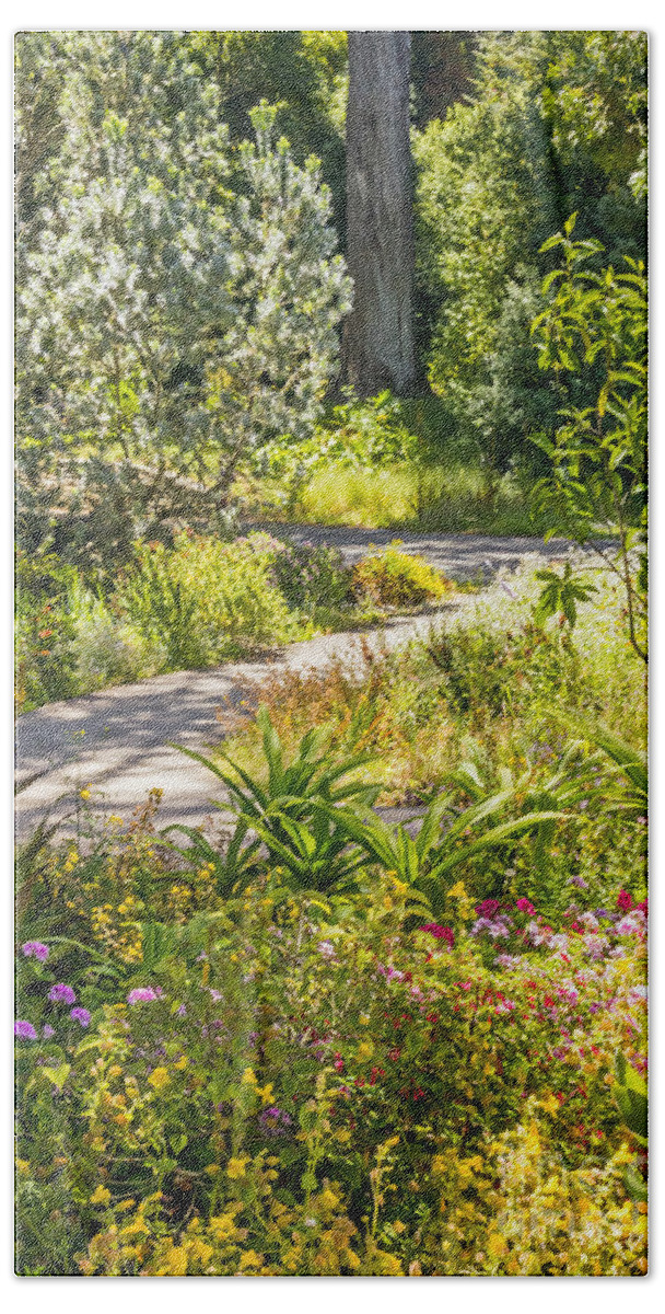 Botanical Garden Beach Sheet featuring the photograph Garden Path by Kate Brown