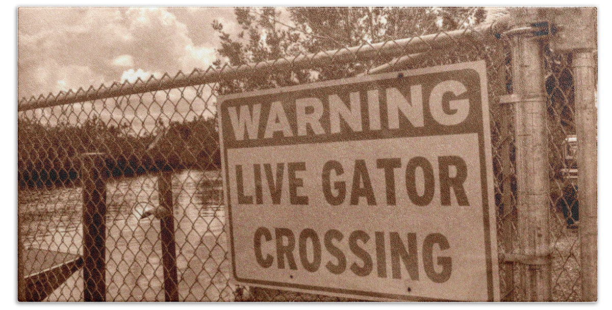 Gators Beach Sheet featuring the photograph Gator Crossing by Timothy Lowry