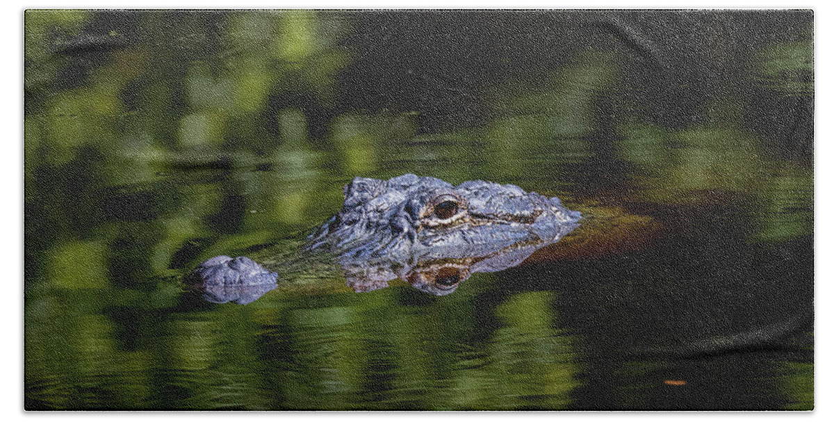 Alligator Beach Towel featuring the photograph Gator Pond by JASawyer Imaging