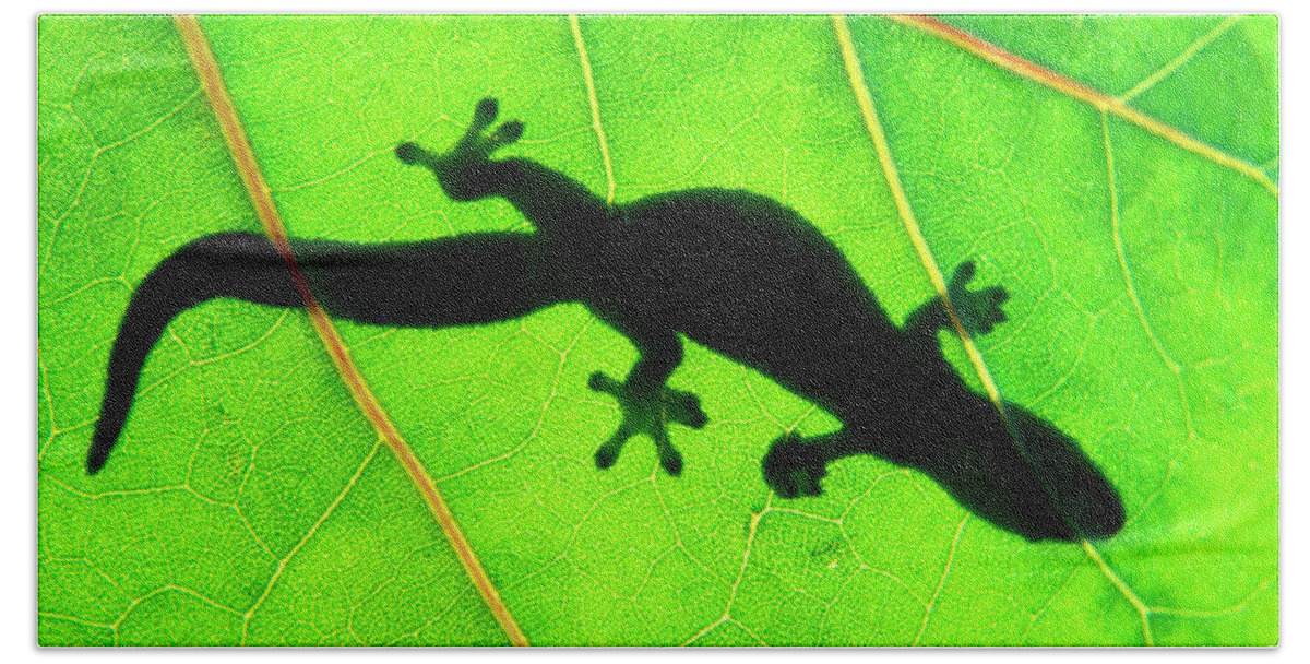Green Beach Sheet featuring the photograph Green Gecko by Sean Davey