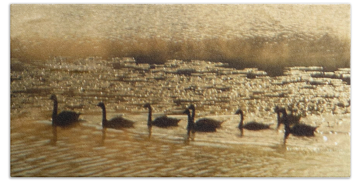 Canada Goose Beach Sheet featuring the photograph Geese on Golden Pond by Rockin Docks Deluxephotos