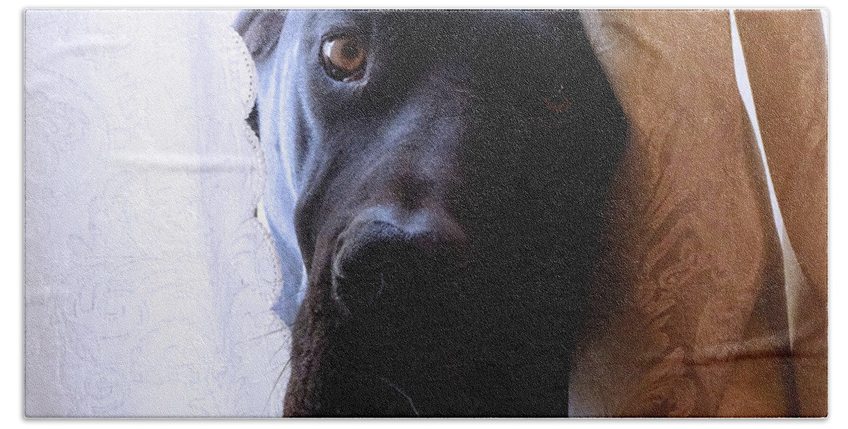 Great Dane Beach Sheet featuring the photograph Gentle Giant by Theresa Campbell