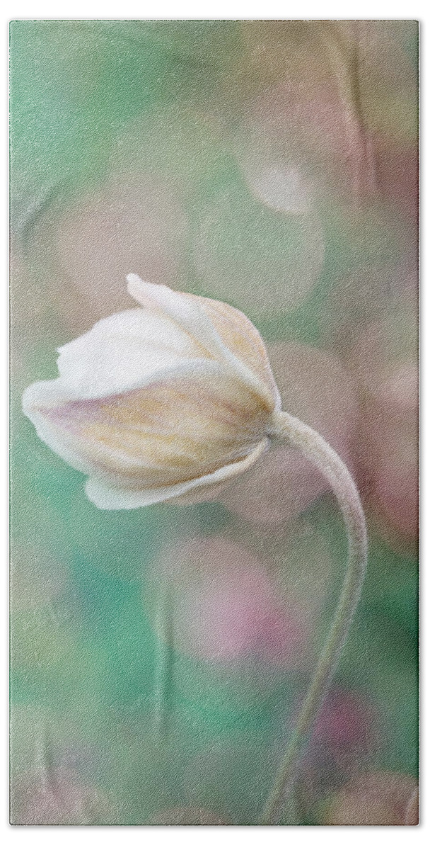 Gentle Beach Towel featuring the photograph Gentle White Flower 2 by Lilia D