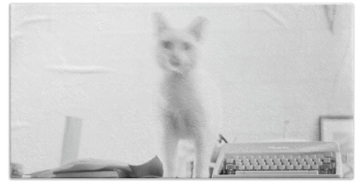 Cat Beach Towel featuring the photograph Ghost Cat, with Typewriter by Jeremy Butler