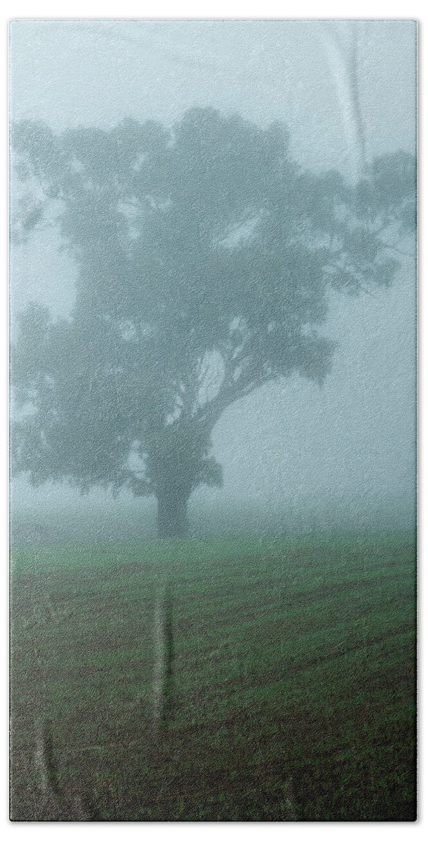 Ghost Beach Towel featuring the photograph Ghost Gum by Nicholas Blackwell