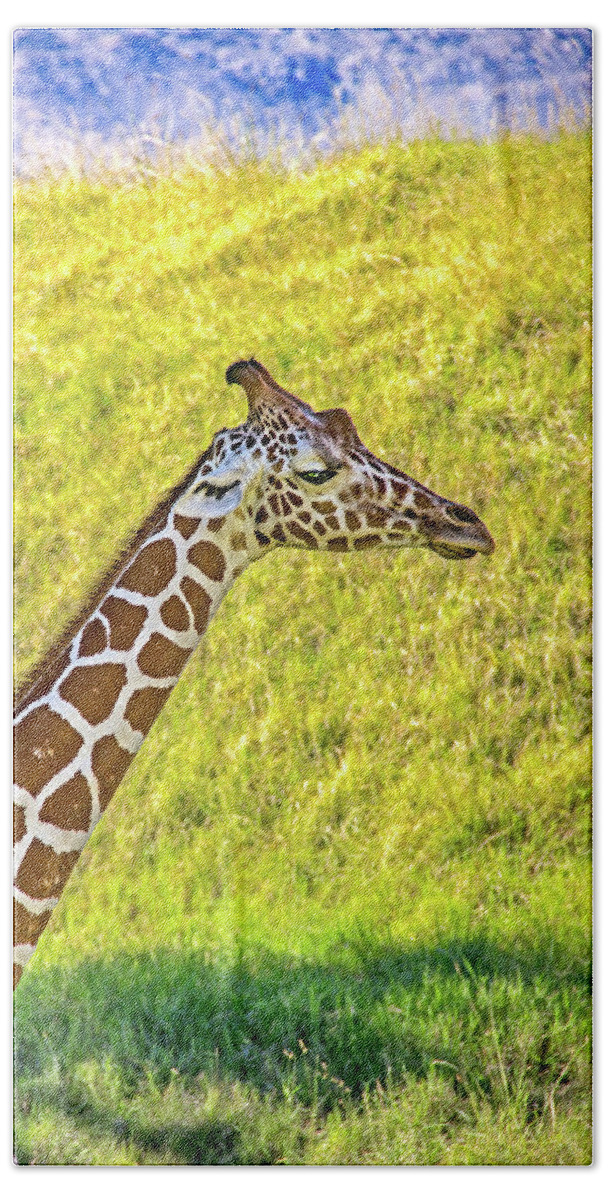 African Beach Towel featuring the photograph Giraffe by Roslyn Wilkins