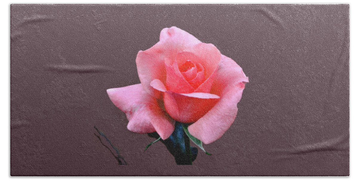 Flower Beach Towel featuring the photograph Glorious Pink by Jay Milo