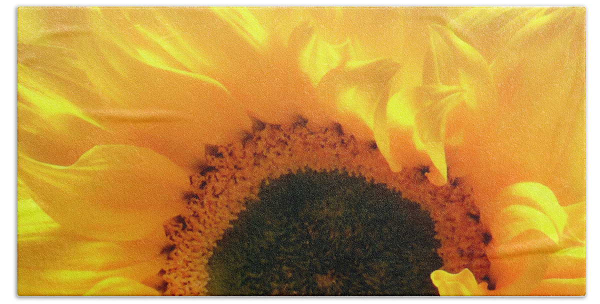 Sunflower Beach Towel featuring the photograph Glorious Sunflower 2 by Johanna Hurmerinta