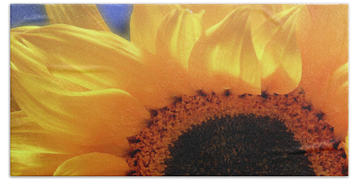 Sunflower Beach Towel featuring the photograph Glorious Sunflower by Johanna Hurmerinta