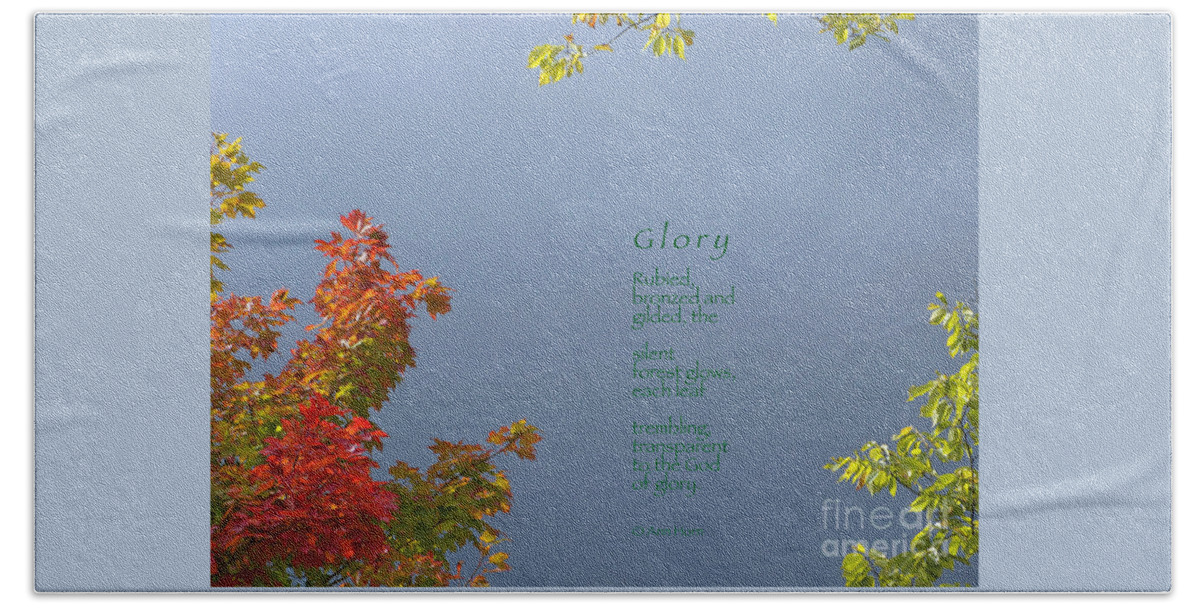 Autumn Beach Towel featuring the photograph Glory by Ann Horn