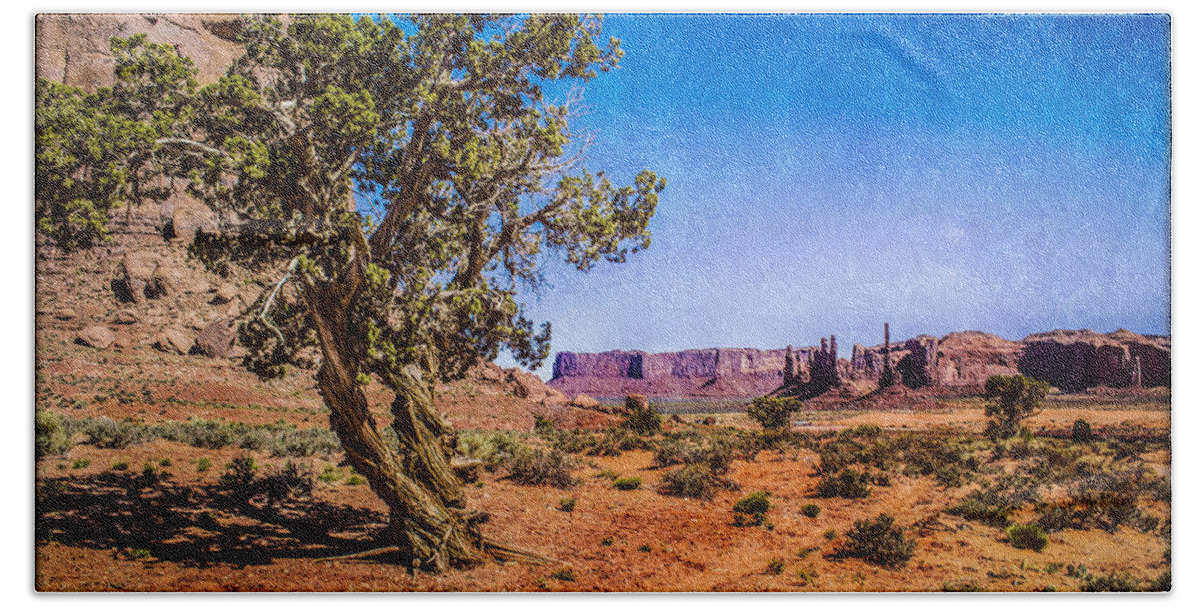 Pictorial Beach Sheet featuring the photograph Gnarled Utah Juniper at Monument Vally by Roger Passman