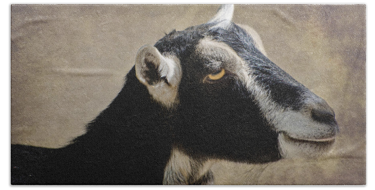 Goat Beach Towel featuring the photograph Goat 1 by Susan McMenamin