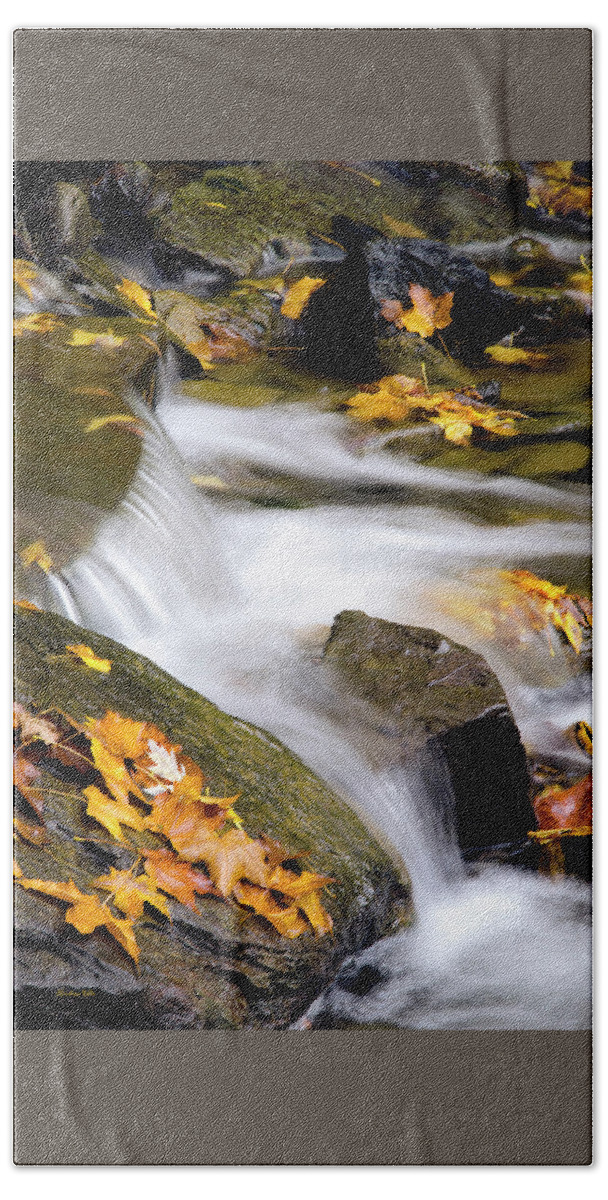 Fall Beach Towel featuring the photograph Peaceful Autumn Creek by Christina Rollo