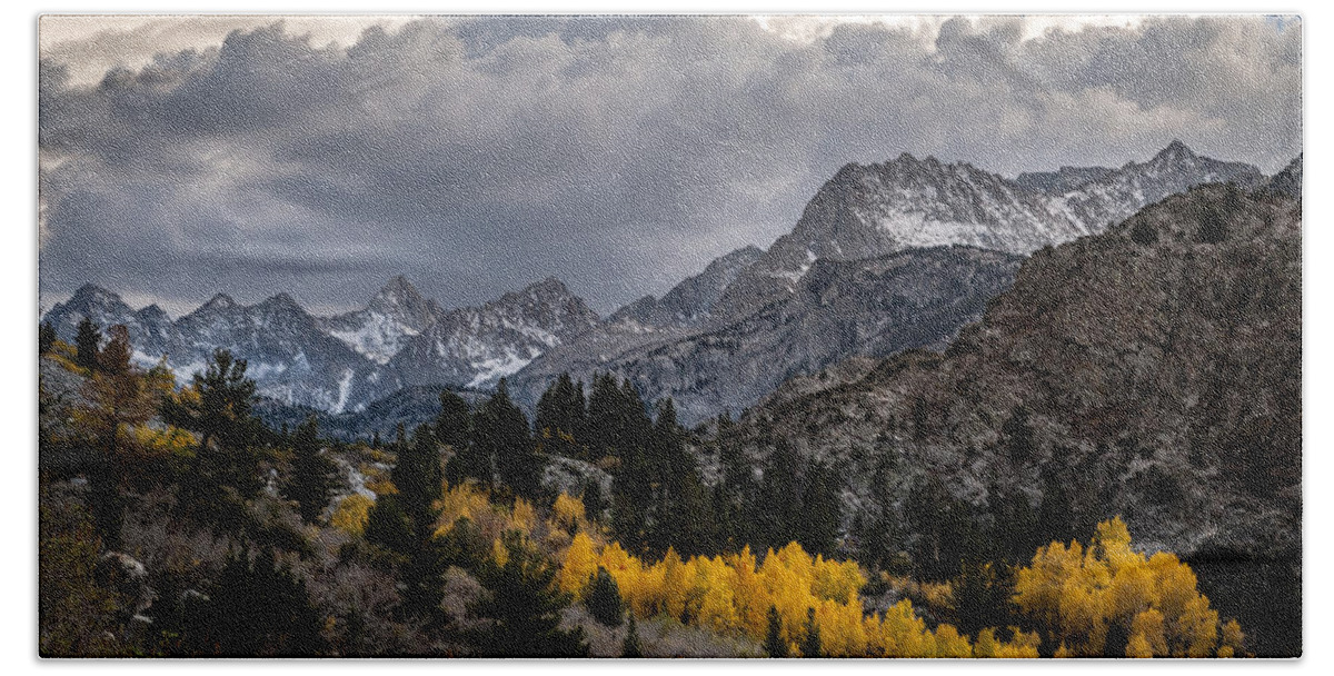 Mountains Beach Towel featuring the photograph Golden Aspens and Snow by Cat Connor