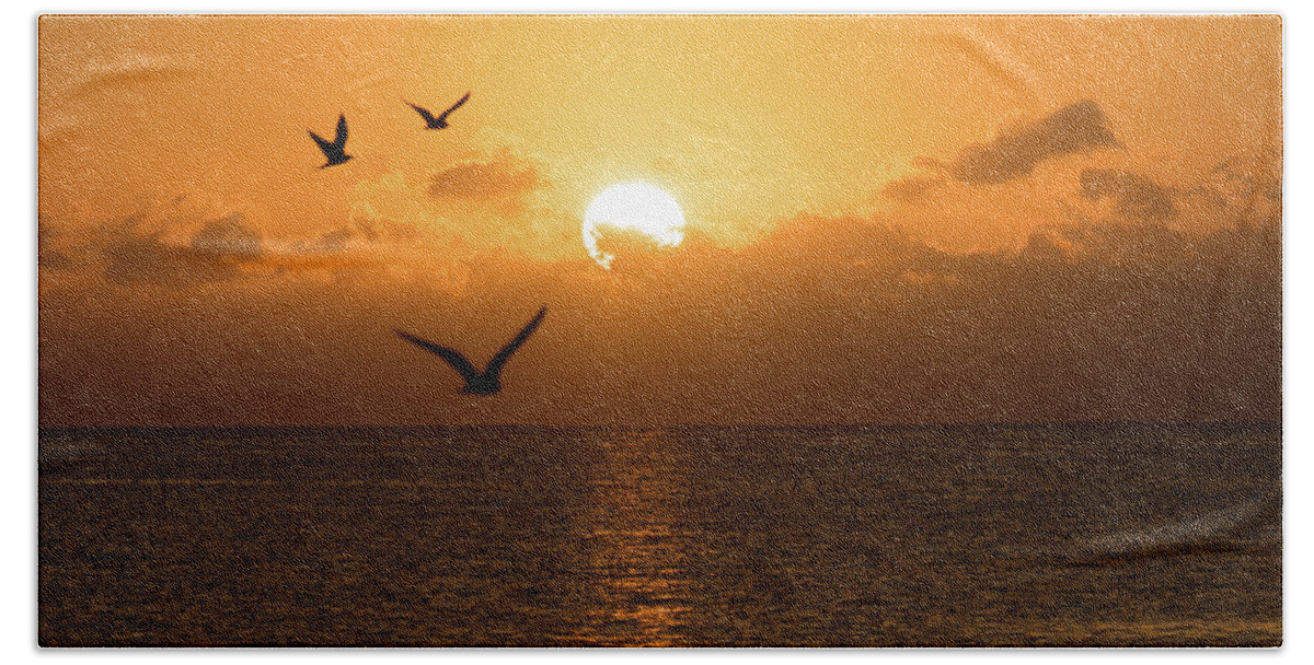 Florida Beach Towel featuring the photograph Golden Birds Sunrise Delray Beach Florida by Lawrence S Richardson Jr