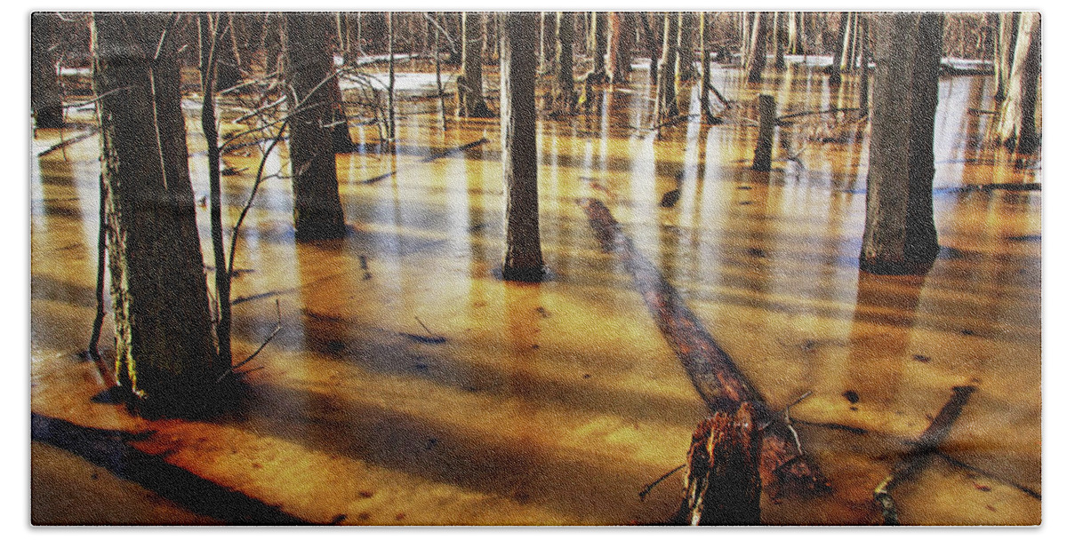 Guelph Beach Towel featuring the photograph Golden Brown Frozen Pond by Debbie Oppermann