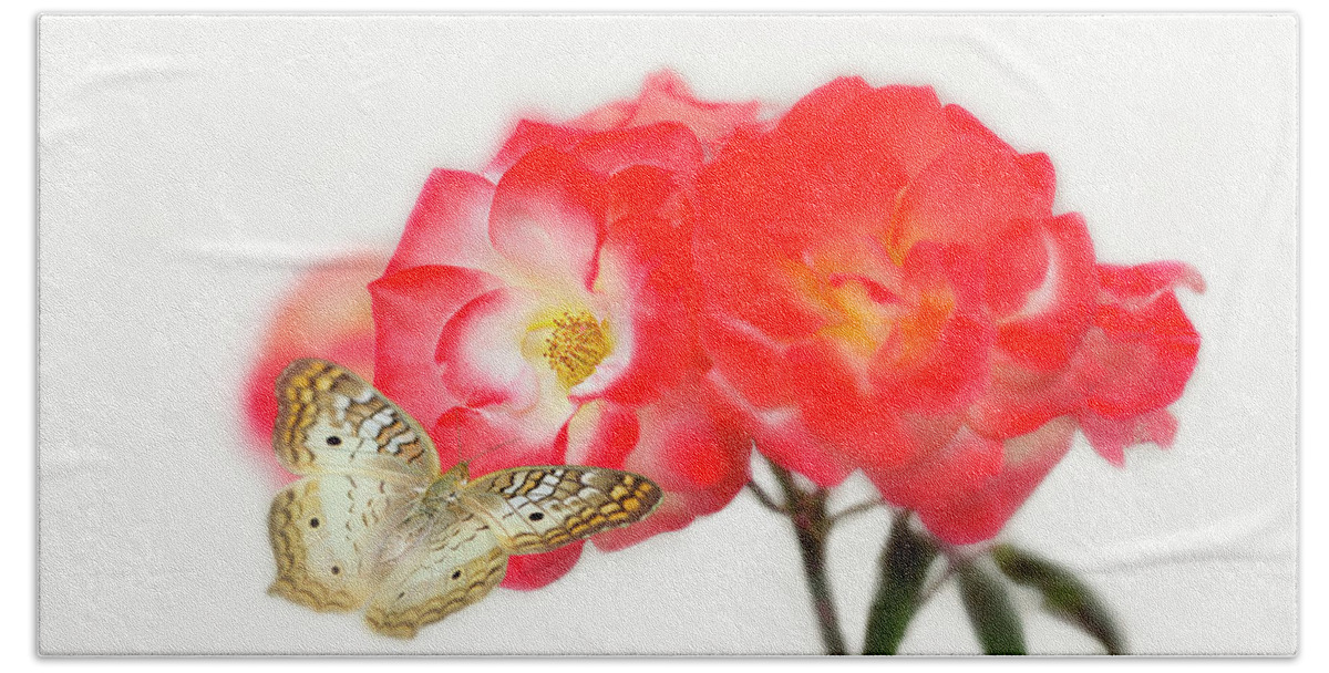 Roses Beach Towel featuring the photograph Golden Butterfly on Roses by Susan Gary