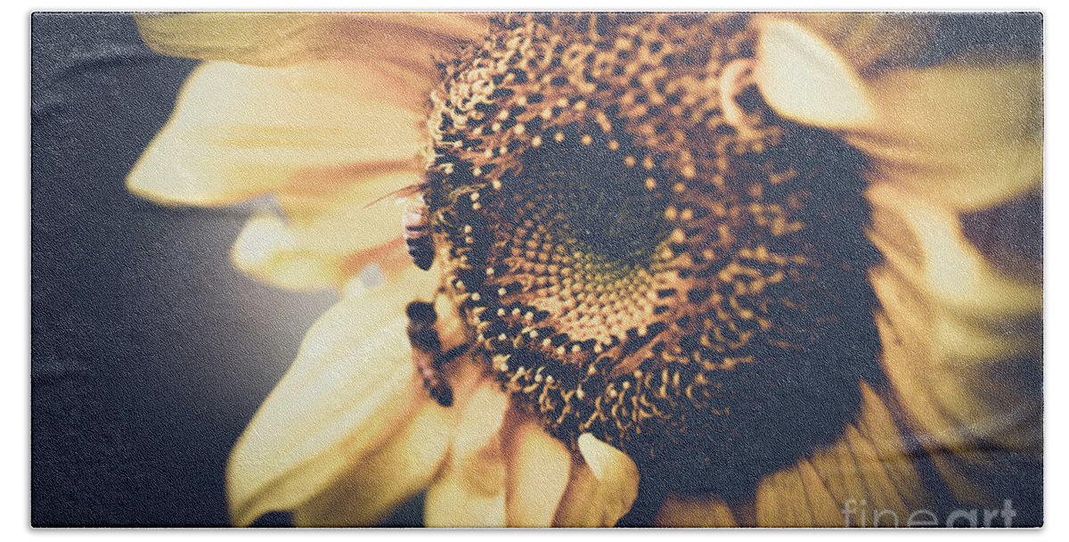 Sunflower Beach Sheet featuring the photograph Golden Honey Bees And Sunflower by Sharon Mau