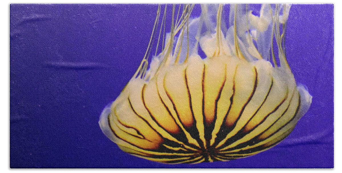 Fish Beach Sheet featuring the photograph Golden Jellyfish by Rosalie Scanlon