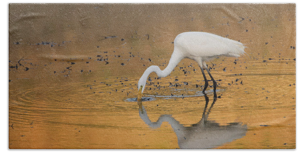 Egret Beach Towel featuring the photograph Golden Pond by Eilish Palmer