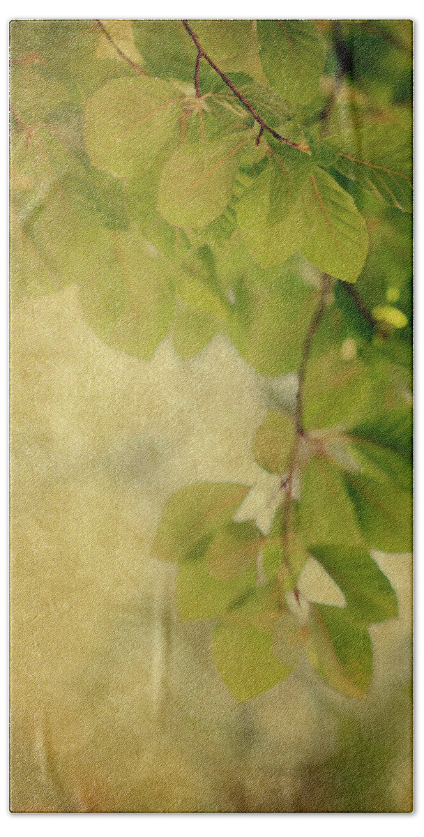 Leaves Beach Sheet featuring the photograph Golden by Rebecca Cozart