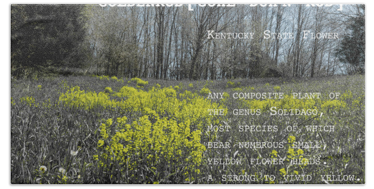 Sharon Popek Beach Towel featuring the photograph Goldenrod by Definition Kentucky by Sharon Popek