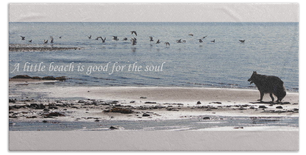 German Shepherds Beach Sheet featuring the photograph Good for the Soul by Sue Long