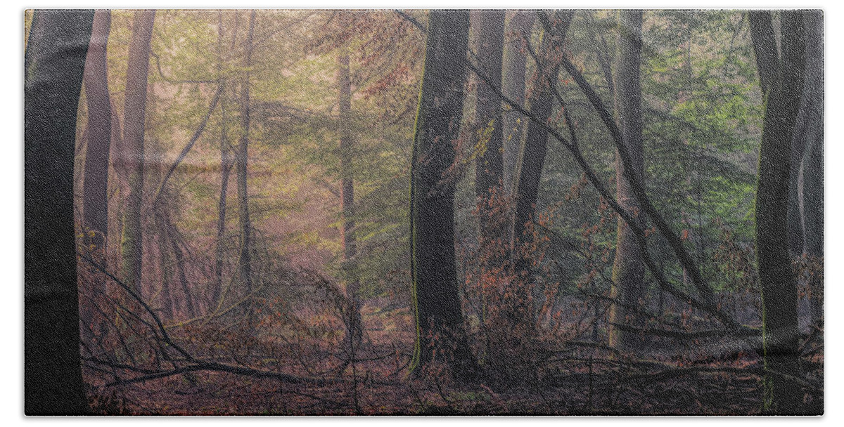 Autumn Beach Towel featuring the photograph Good morning Speulderbos by Tim Abeln