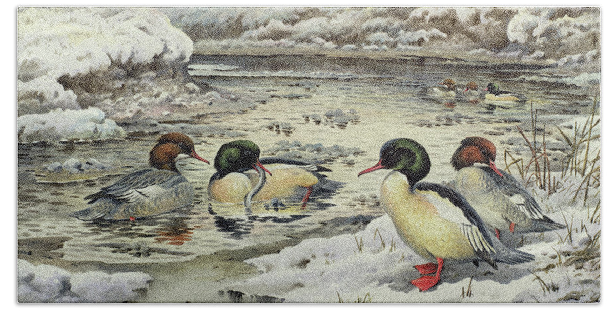 River Beach Towel featuring the painting Goosanders by Carl Donner