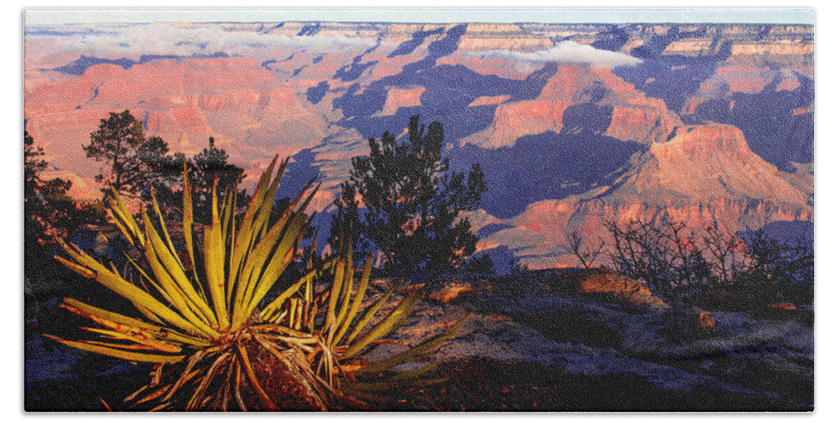 Grand Canyon National Park Beach Sheet featuring the photograph Grand Canyon 31 by Donna Corless