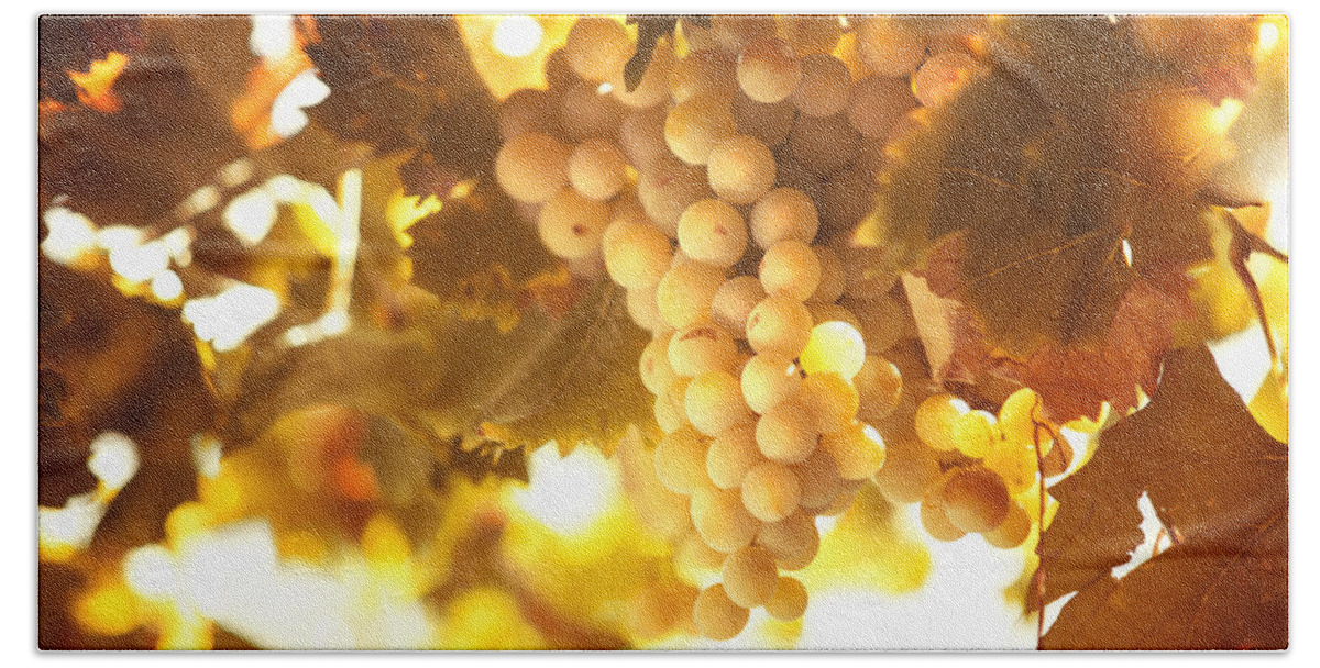 Grape Beach Towel featuring the photograph Grapes Filled with Sun by Jenny Rainbow
