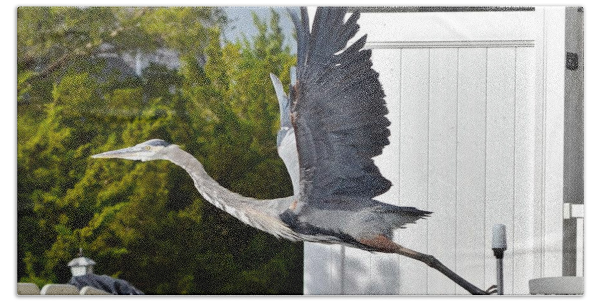  Beach Sheet featuring the photograph Great Blue Heron Taking Flight by Kim Bemis
